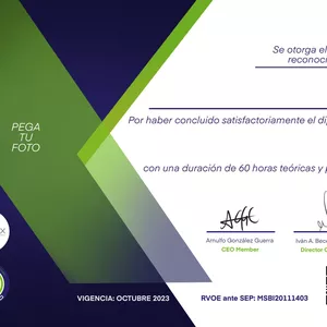 Imagen de portada para Curso online Diplomado Nutrición - SEP