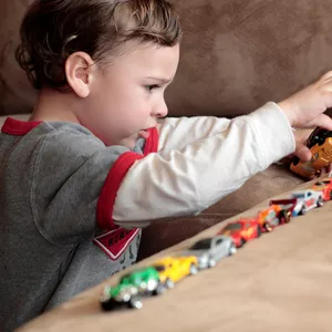 Imagen de portada para Curso online Autismo y Escalas Wechsler. Cómo Identificar e Interpretar Indicadores Diagnósticos del Espectro Autista