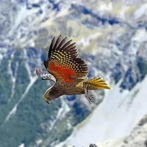 Imagem de capa para o Curso online Domine a Pronúncia Americana e Desenvolva Sua Identidade Vocal