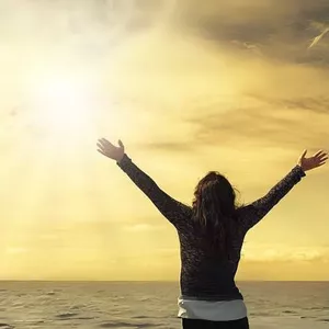 Imagem de capa para o Curso online As 9 Áreas da Vida