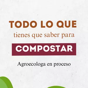 Imagen de portada para Ebook Todo lo que debes saber para compostar