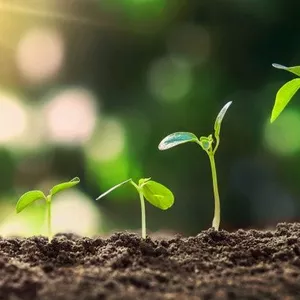 Imagem do curso O autoconhecimento como alavanca de resultados extraordinários na sua vida e carreira