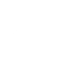 Wild Sister logo