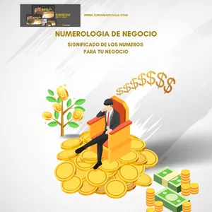 Imagen de portada para Ebook Numerología de Negocios [e-Book]