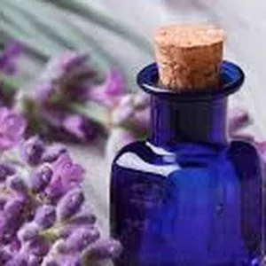 Imagem de capa para o Curso online Curso de Florais de Saint Germain