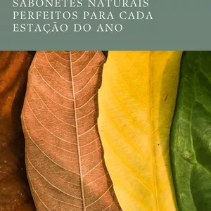 Imagem de capa para o Ebook As Quatro Sensações 