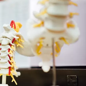 Imagen de portada para Ebook Adiós al dolor: Transforma tu postura en 7 días