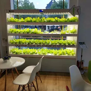 Imagem de capa para o Curso online Curso de Microverdes - Por Bruno Palma