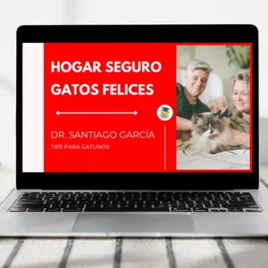 Imagen de portada para Curso online Hogar Seguro - Gatos Felices