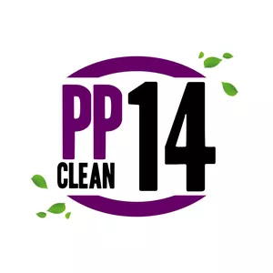 Imagem de capa para o Curso online PPClean 14