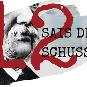 Os 12 Sais de Schüssler