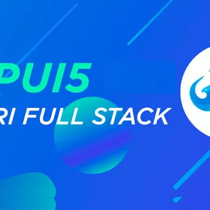 Imagem de capa para o Curso online Dev Fiori Pro