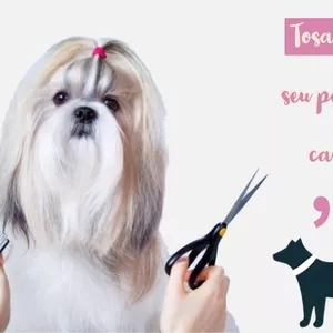 Imagem de capa para o Ebook Tosando seu pet em casa