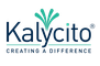 Kalycito Infotech Private Limited