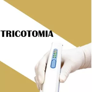 Imagem de capa para o Ebook POP de Tricotomia