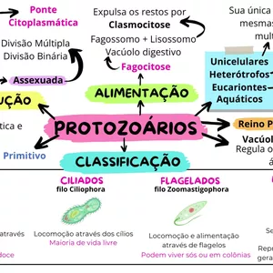 Imagem de capa para o Ebook Mapa Mental - Protozoários