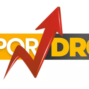 Imagem de capa para o Curso online Curso de Dropshipping do zero ao avançado