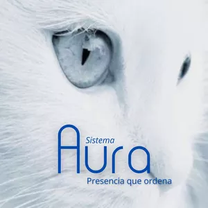 Imagen de portada para Curso online Sistema Aura