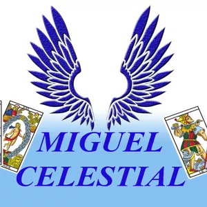 Imagen de portada para Curso online CONSULTAS SAN MIGUEL CELESTIAL