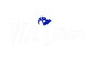 WizBrain