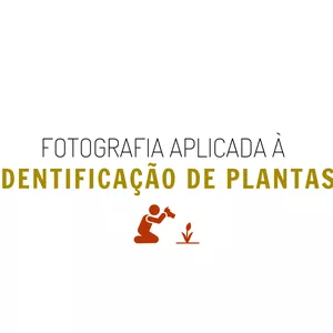 Imagem principal do produto Imersão de Fotografia Aplicada à Identificação de Plantas
