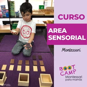 Imagen de portada para Curso online Area Sensorial Montessori (2.5-6 años)