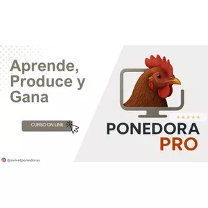 Imagen de portada para Curso online Ponedora Pro premium