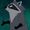Meeko