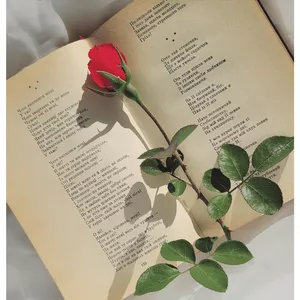 Imagem de capa para o Ebook Poemas para lutar, gritar e amar.