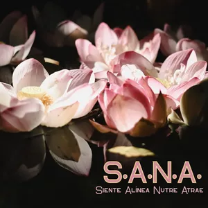 Imagen de portada para Curso online Sesión PERSONALIZADA + Sesión Grupal de SANA