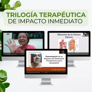 Imagen de portada para Curso online Trilogía Terapéutica de Impacto Inmediato 