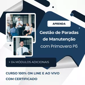 Imagem de capa para o Curso online GP com Primavera P6