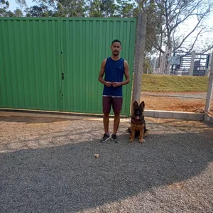 Imagem de Adestramento De Cães - Do básico ao avançado criado por Gustavo na hotmart