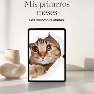 Imagen de portada para Ebook Alimentación en los primeros meses de tu gatito