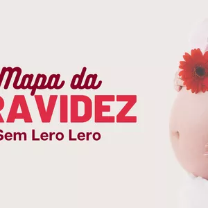 Imagem de capa para o Curso online MAPA DA GRAVIDEZ 