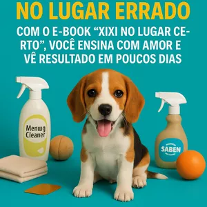 Imagem de capa para o Ebook METODO INFLÁVEL