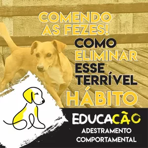Curso COMENDO AS FEZES! COMO ELIMINAR ESSE HÁBITO TERRÍVEL