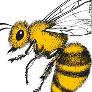 Imagem de capa para o Ebook Alivio