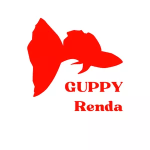 Imagem de capa para o Curso online GUPPY Renda