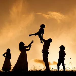 Imagen de portada para Curso online Constelaciones Familiares