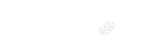 Learning Strategies Institute logo