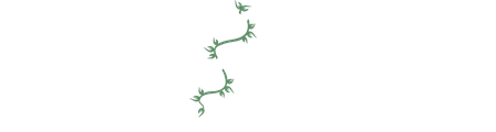 Builder & Gardener logo