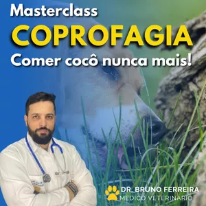 Imagem do curso Masterclass Coprofagia