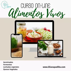 Imagen de portada para Curso online Alimentos Vivos 
