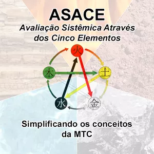 Imagem do curso ASACE - Avaliação Sistêmica Através dos Cinco Elementos