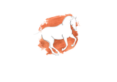Evolution Equine Services logo