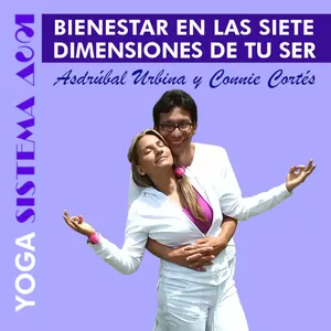 Imagen de portada para Curso online Bienestar en las Siete Dimensiones de  tu Ser