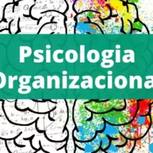 Imagem de capa para o Ebook Psicologia organizacional