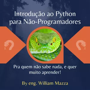 Imagem de capa para o Curso online Introdução ao Python para Não-Programadores