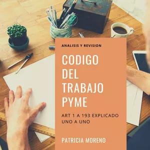 Imagen de portada para Curso online Código del Trabajo Pyme Chile